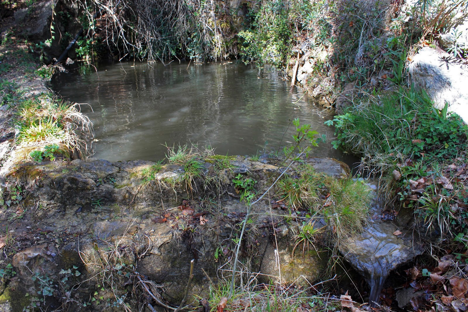 La alberca y el manantial de la alberca.