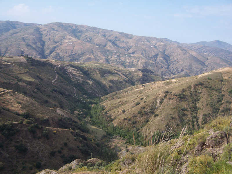 Vista de la Rambla de Cástaras desde el cerro Mansilla. (Fotografía del autor).
